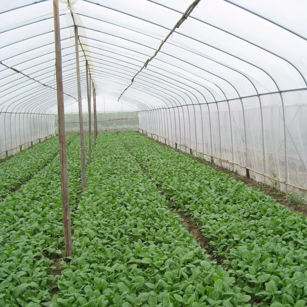 Customized greenhouse film