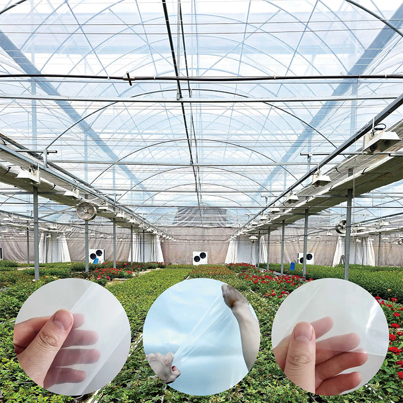 clear Polyethylene film for greenhouse