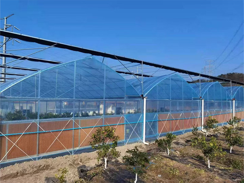Greenhouse film