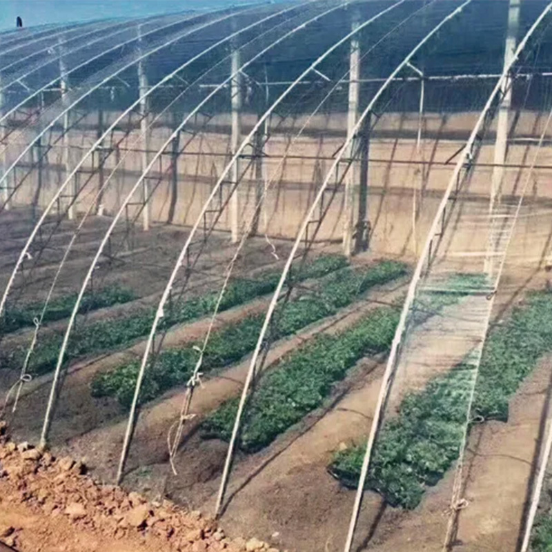 clear Polyethylene film for greenhouse