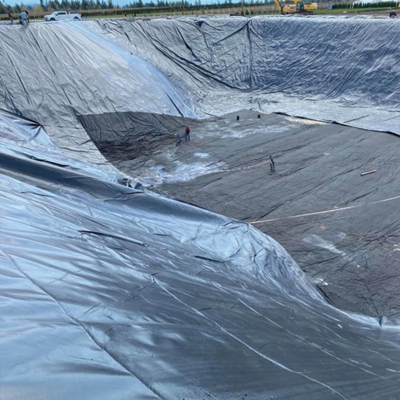 Geomembrane