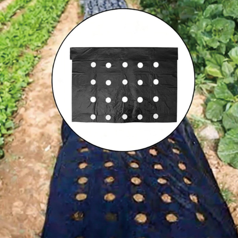 Perforated mulch