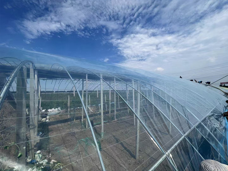 Greenhouse film