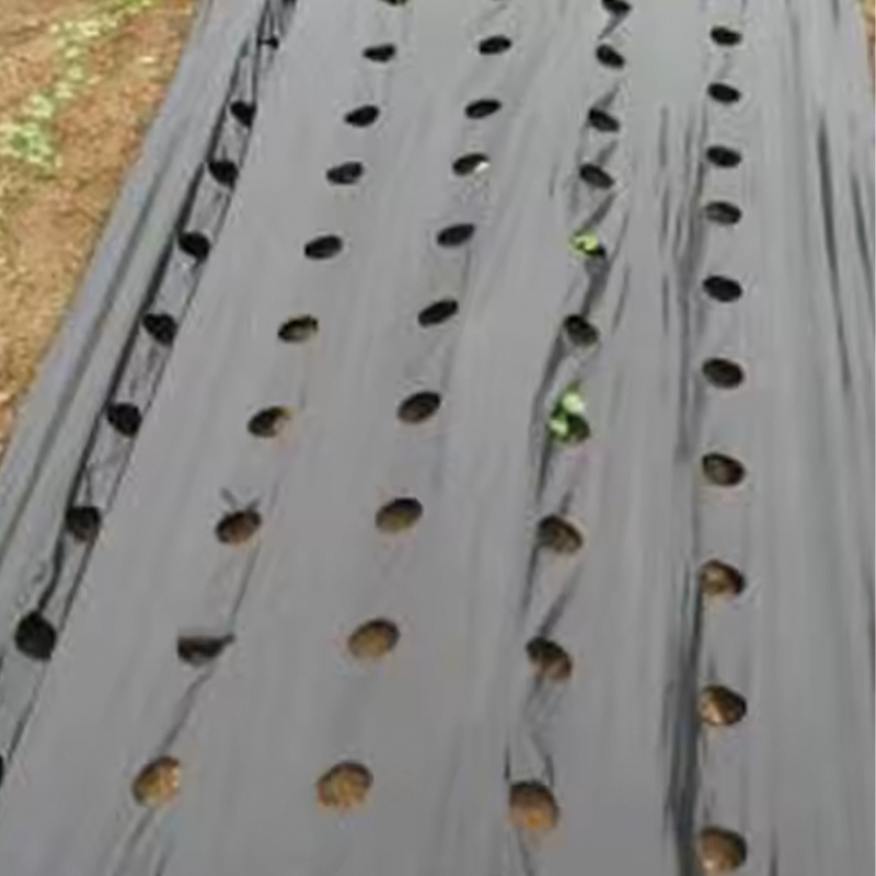 Perforated mulch