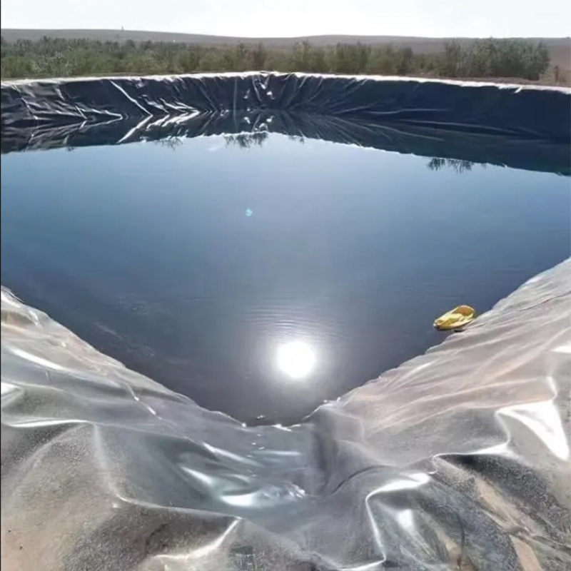 Geomembrane