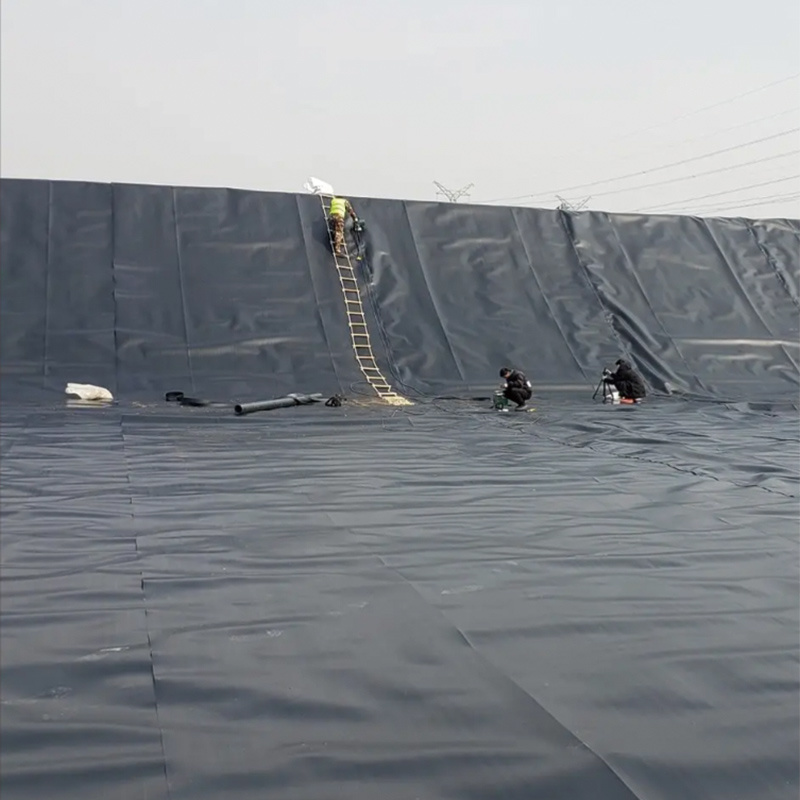 Geomembrane