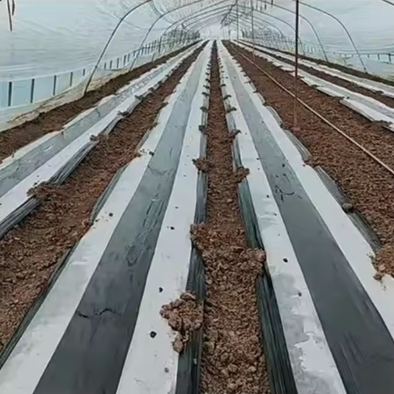 Alternating Black and Transparent Mulch Film
