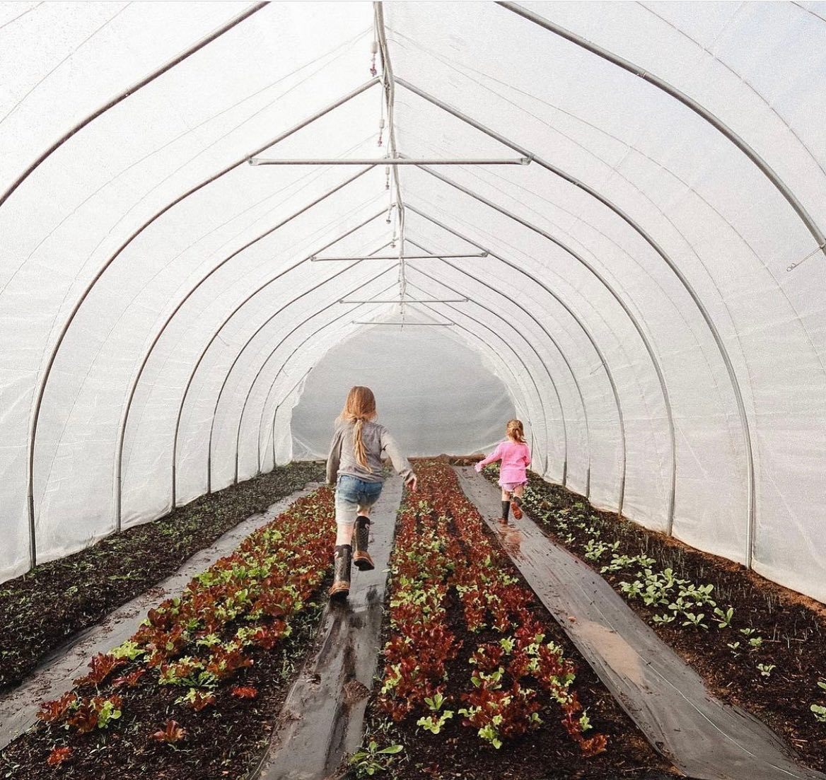 Customized greenhouse film