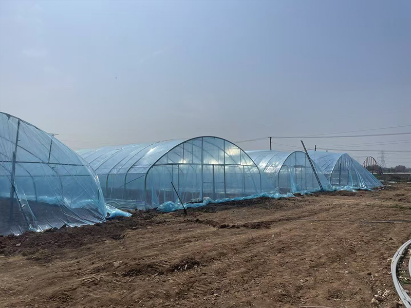 Greenhouse film