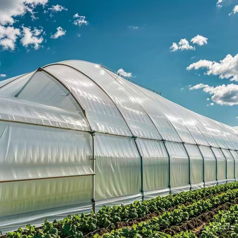 greenhouse film with anti-age function