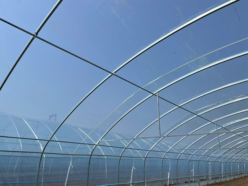 Greenhouse film