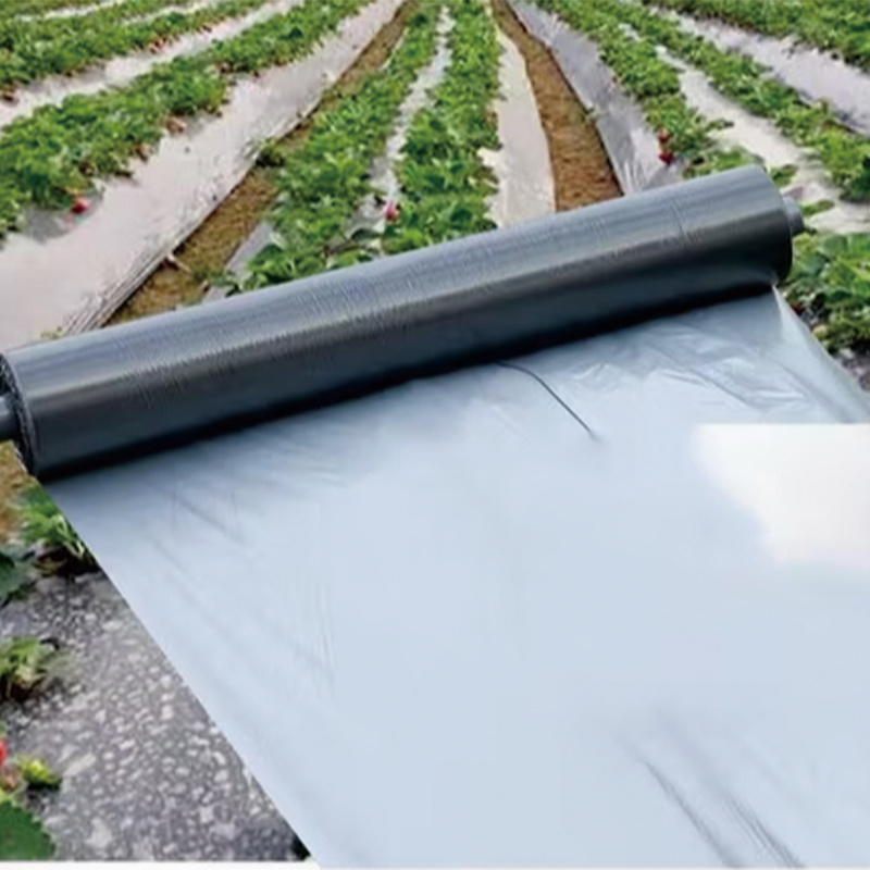 black and silvery mulch film