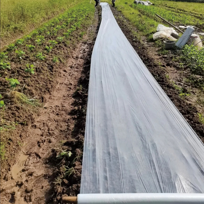 clear mulch film