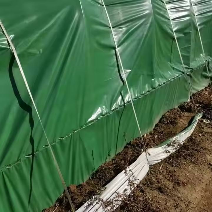 Green and white film
