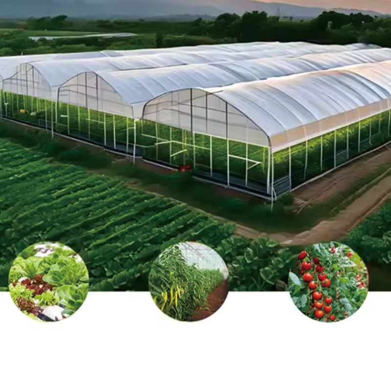 clear Polyethylene film for greenhouse