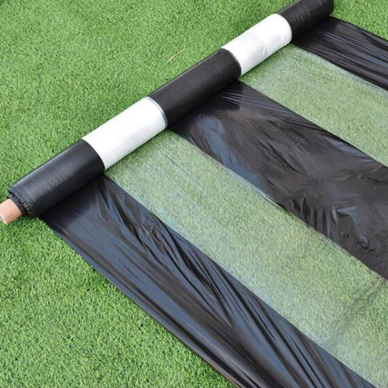 Alternating Black and Transparent Mulch Film