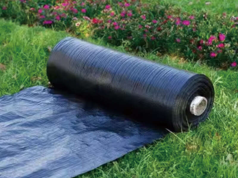 The impact of black plastic mulch on soil