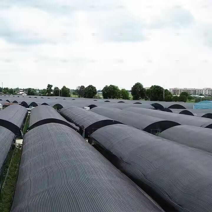 Pure black film