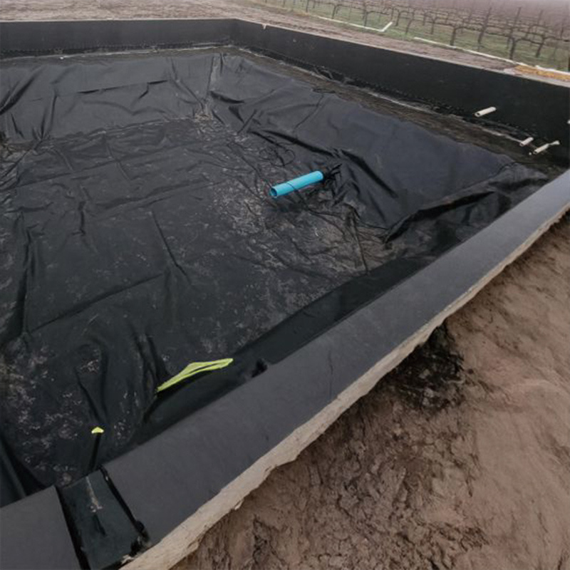 Geomembrane