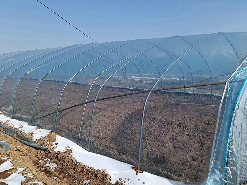 Greenhouse film