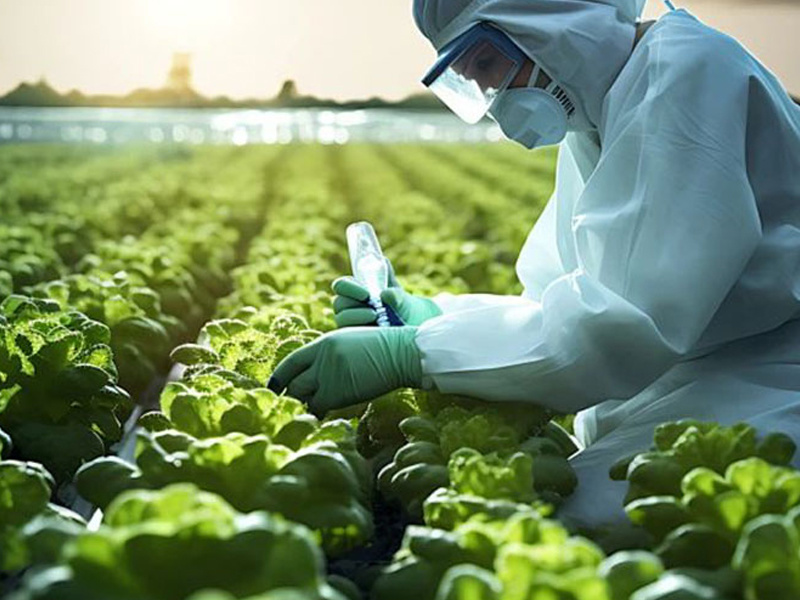 Application of polyvinylpyrrolidone (PVP) in fruit preservation
