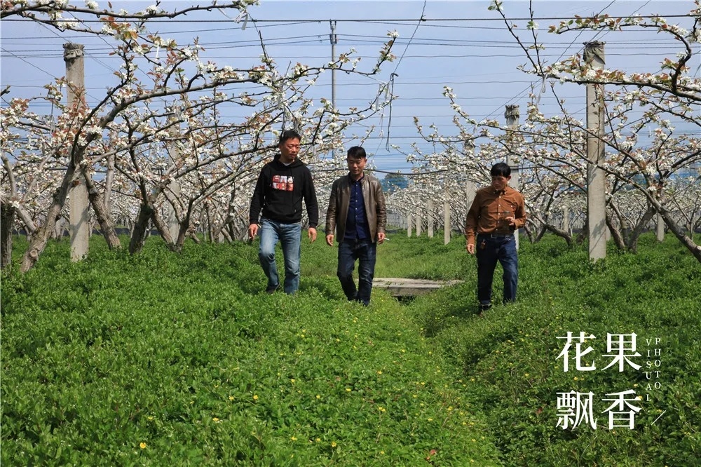 割草機