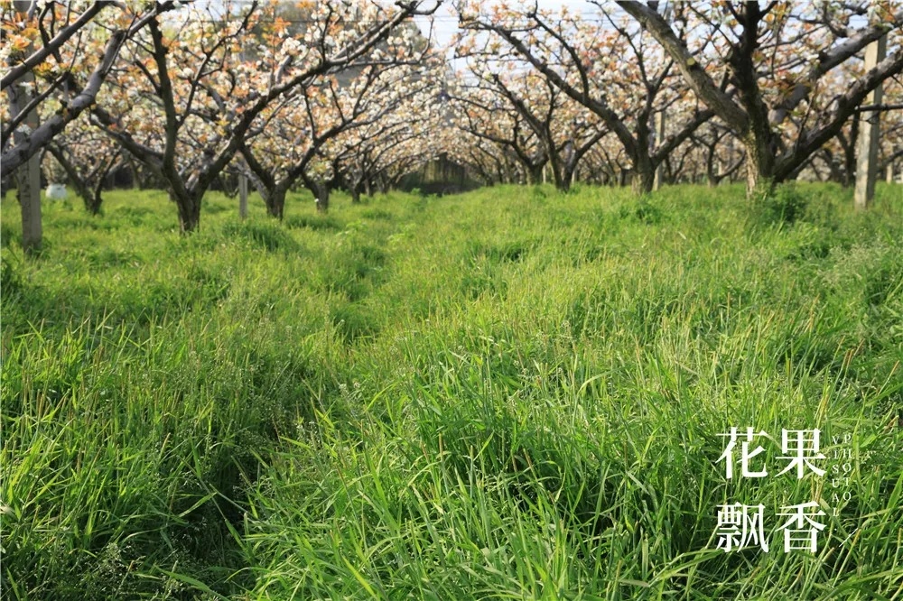 割草機