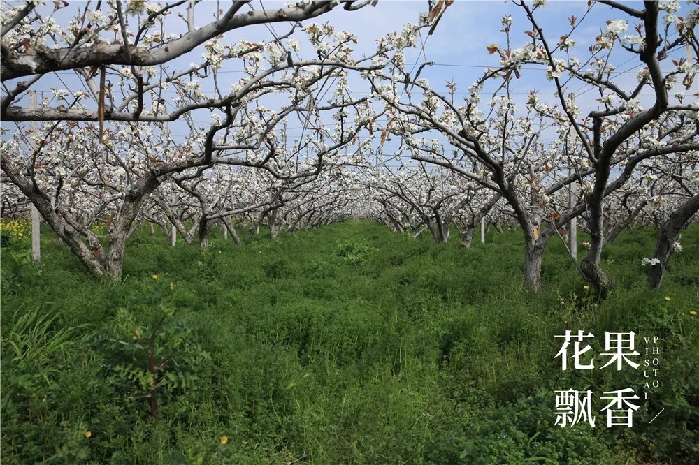 割草機