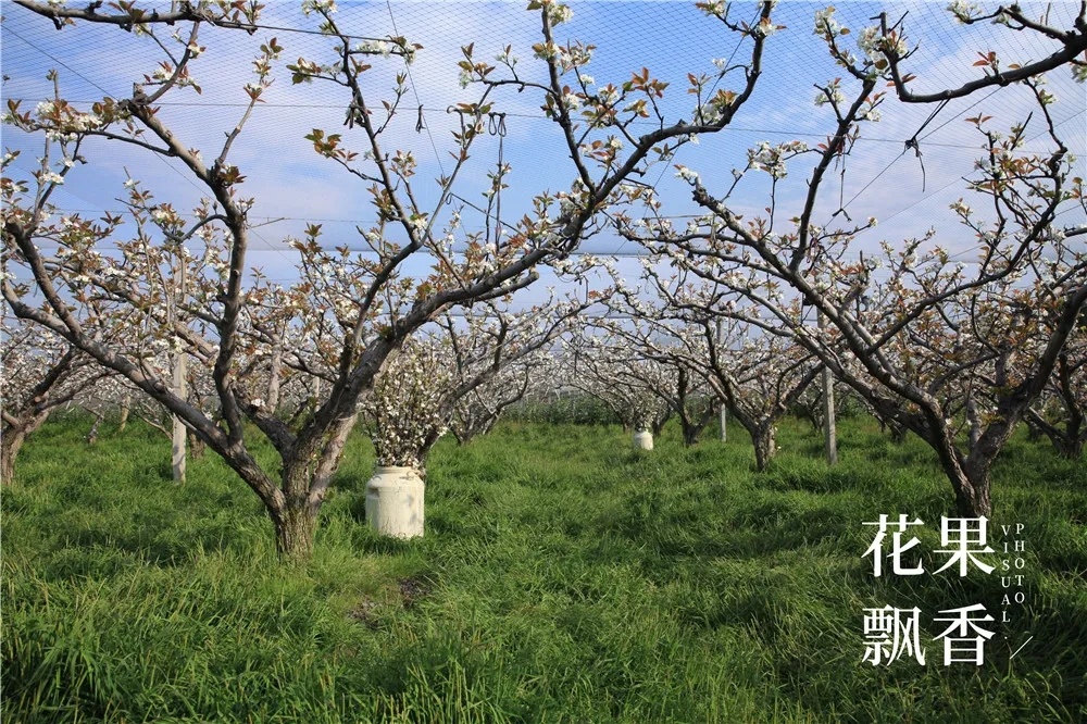 割草機