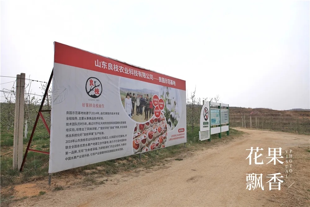 割草機(jī)