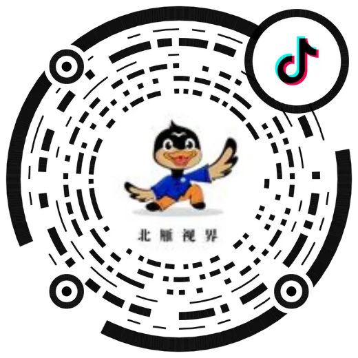 北雁视界