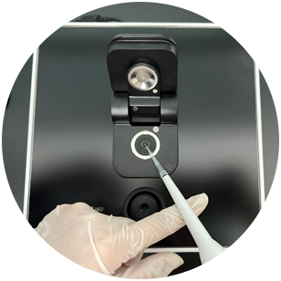 Gene editing and engineering strain construction technology Gene editing and engineering strain construction technology