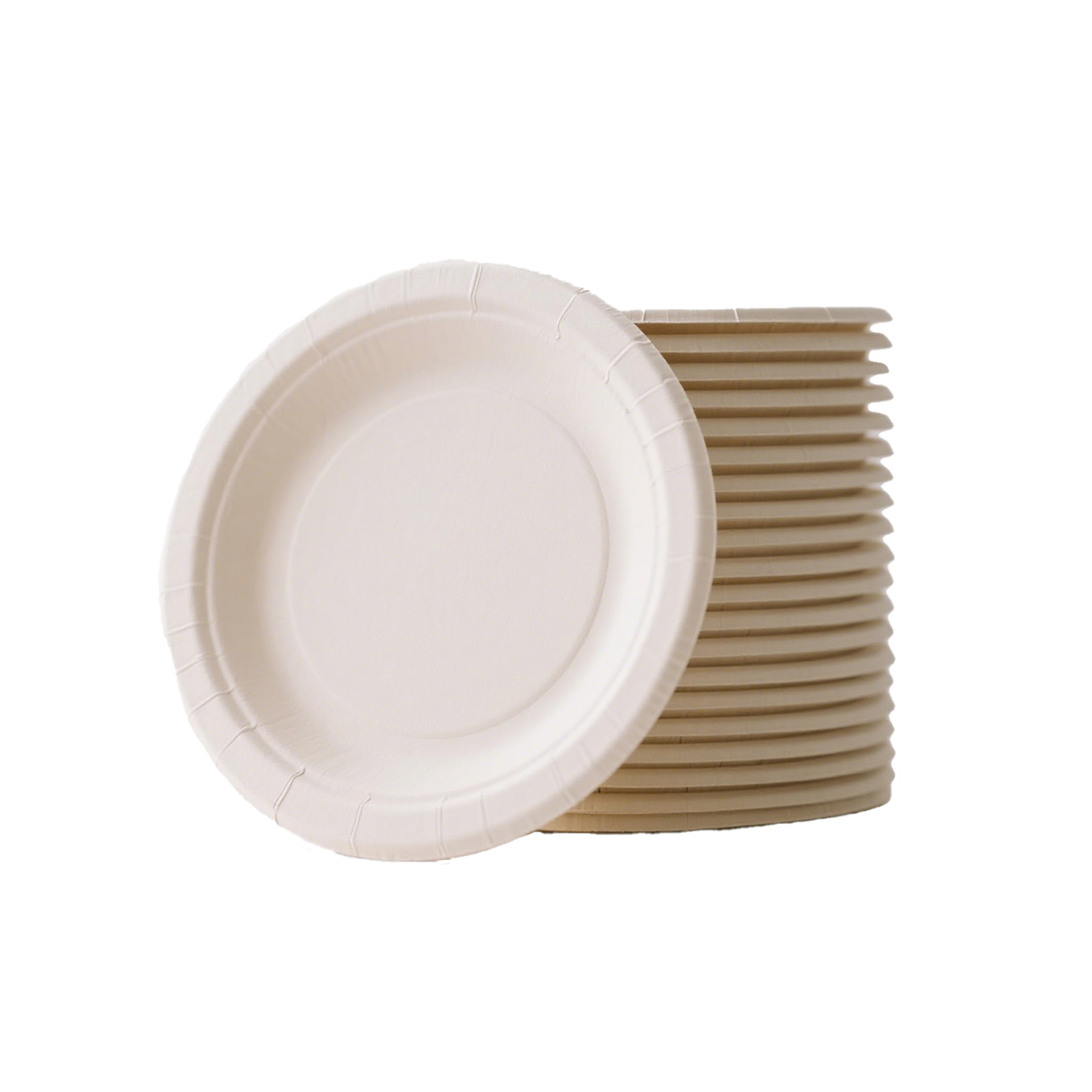 Bagasse biodegradable compostable eco-friendly tableware