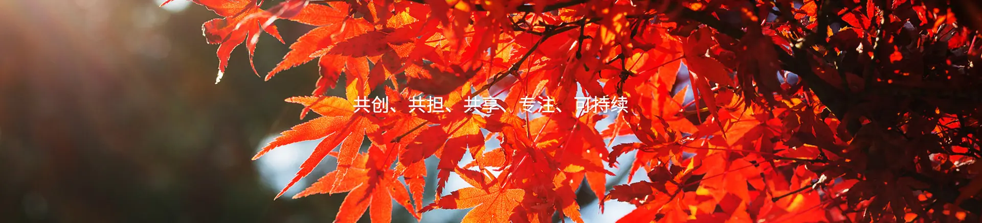 共創(chuàng)、共擔(dān)、共享、專注、可持續(xù)