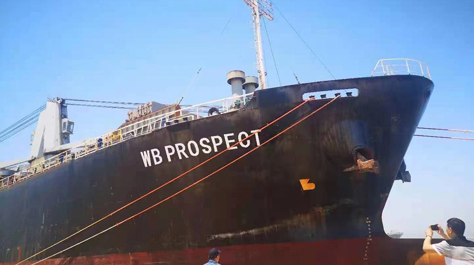 MV WB PROSPECT MV WB PROSPECT
