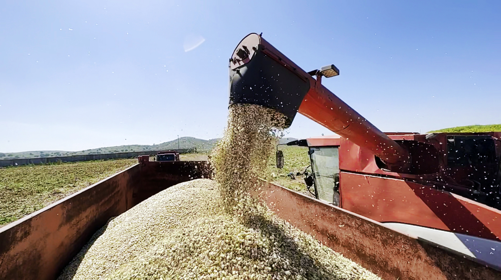 KPM Ecological Farm Corn Harvesting KPM Ecological Farm Corn Harvesting
