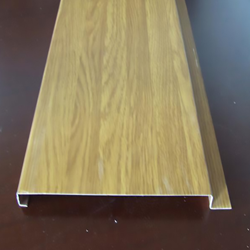 H-Strip Buckle