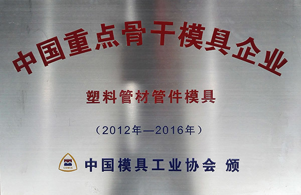 中国主要骨干模具公司