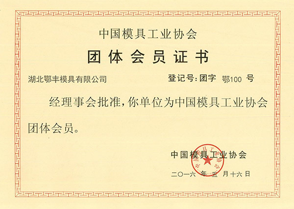 中国模具工业协会 - 集团会员证书