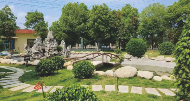 公司实力