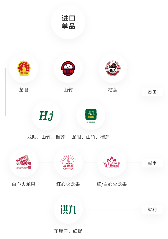 洪九果品