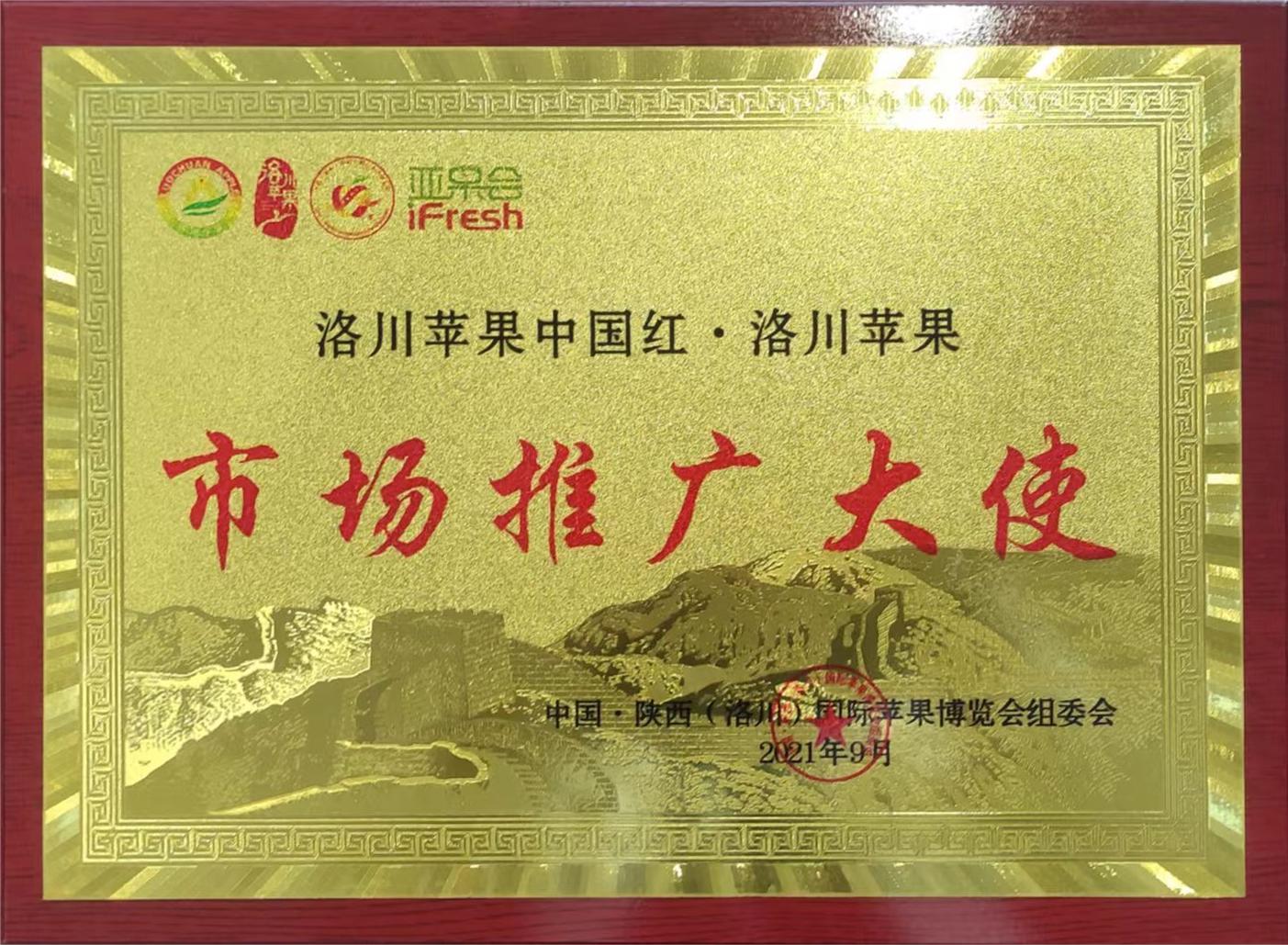 洛川苹果中国红·洛川苹果市场推广大使 洛川苹果中国红·洛川苹果市场推广大使
