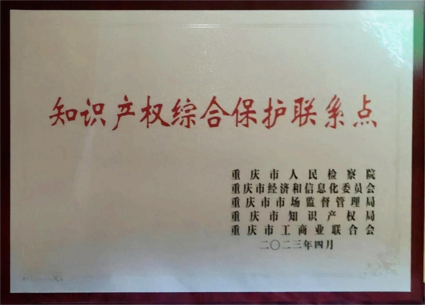 知识产权综合保护联系点 知识产权综合保护联系点