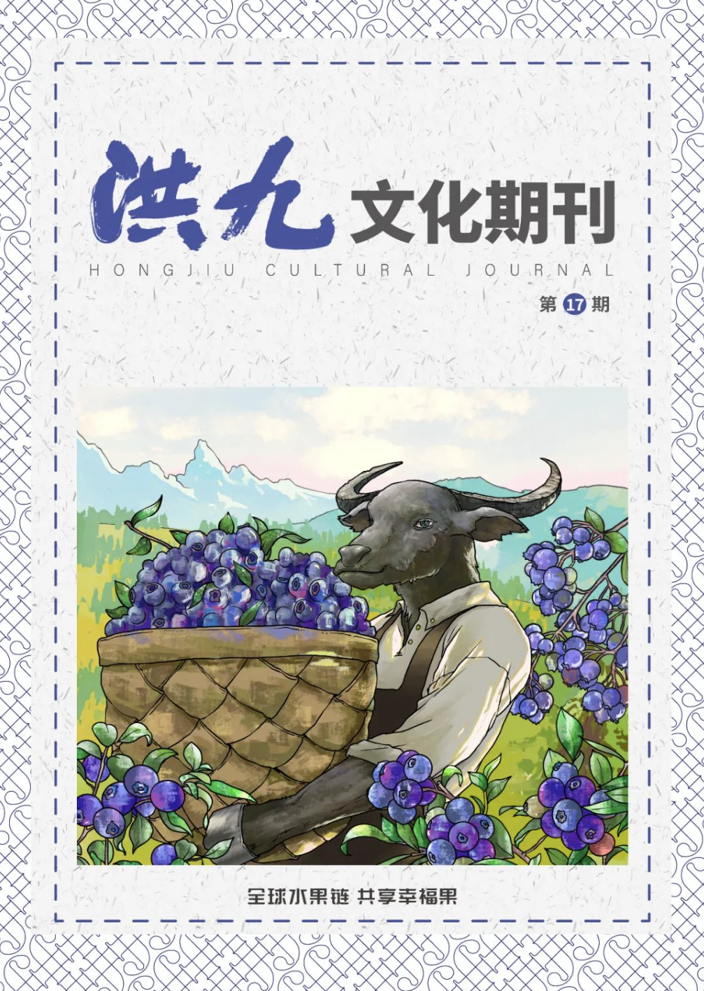 第17期