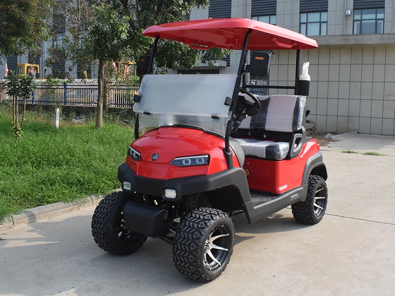 2-seater golf cart (silver, blue, red)