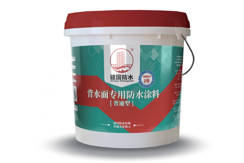 建国修缮3号 背水面专用防水涂料（普通型）