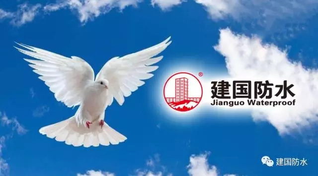 建国伟业的“鸽子式”精神。