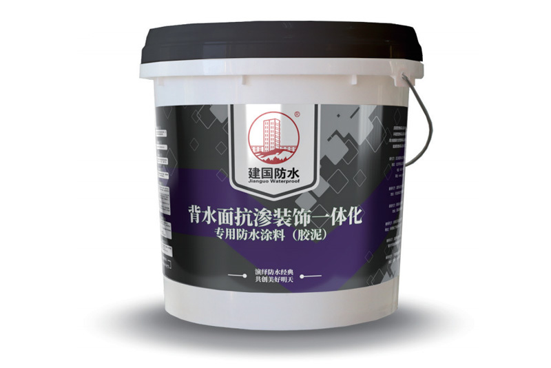 建国安筑19号 背水面抗渗装饰一体化专用防水涂料
