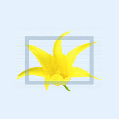 電影放映窗口玻璃