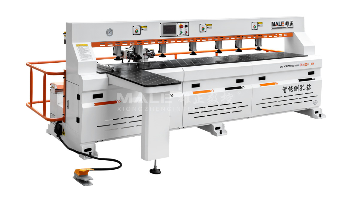 CS-6000LMN